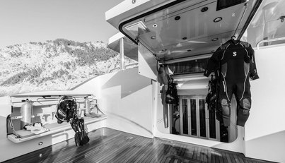 FLYING MANTA For Sale image30