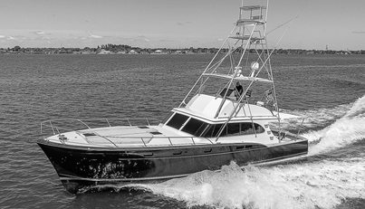 TA-BOO For Sale image9