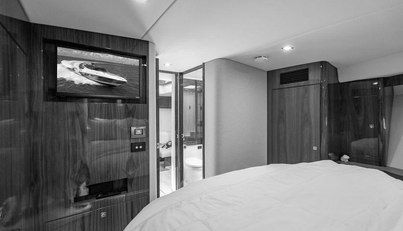 Bald Eagle For Sale image70