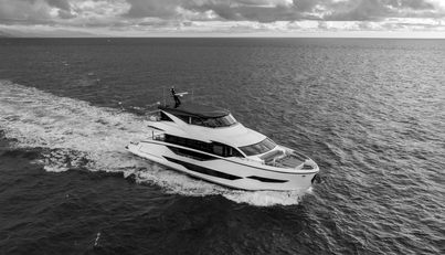 Aurelius For Sale image38