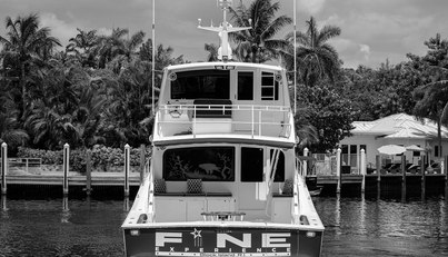 noname For Sale image7