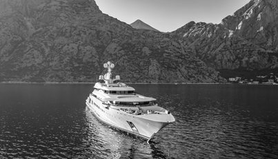 PELORUS For Sale image45