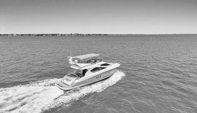 Cheers For Sale image7