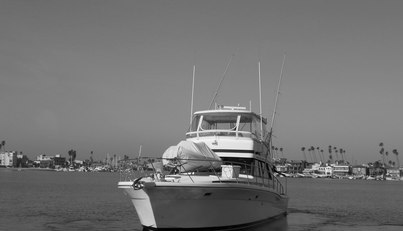 Yacht Z For Sale image14