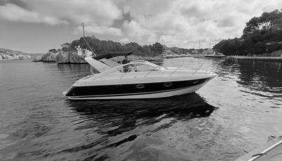 noname For Sale image12