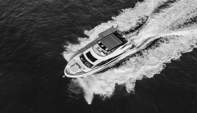 WHITE STAR For Sale image44