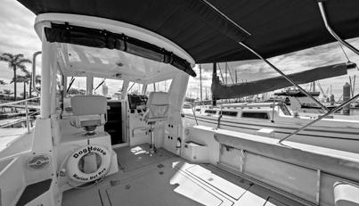 noname For Sale image6