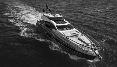 NEVER GIVE UP For Sale image2