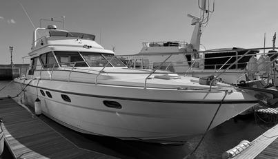 Magic Princess For Sale image1