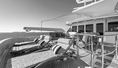 GITANA For Sale image37