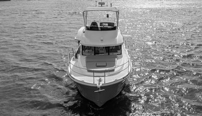 ASHOKAN For Sale image3