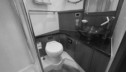 TATIANA For Sale image18