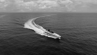 GOLDENEYE For Sale image60