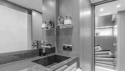 GYRFALCON For Sale image78