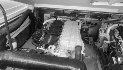 STEAMER For Sale image39