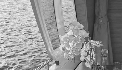 Wanderful For Sale image33