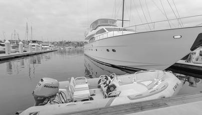 Anejo For Sale image59