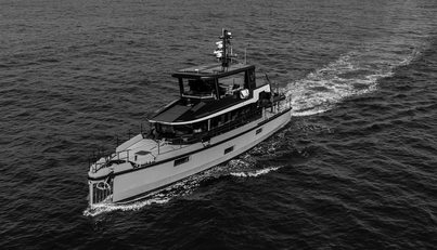 VANGUARD For Sale image35