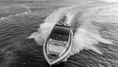 7392555 For Sale image6