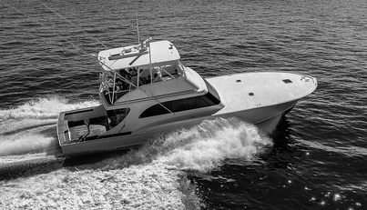 WILL RISE For Sale image16