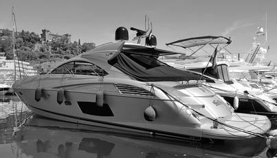 SOLID For Sale image8