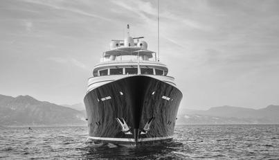 HERCULES For Sale image2