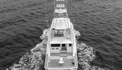 Goin Deep For Sale image7