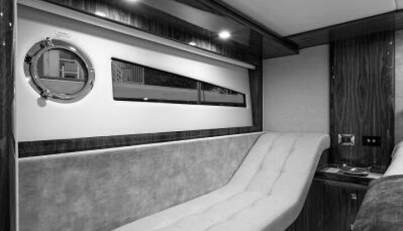 Greyhound For Sale image65