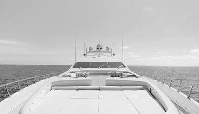 ROYALE X For Sale image2