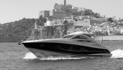 P53 For Sale image4