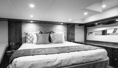 Greyhound For Sale image58