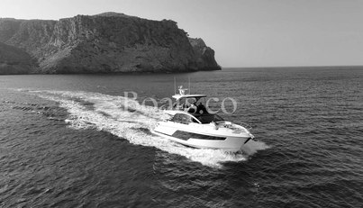 noname For Sale image12