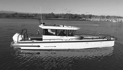 HAYLU For Sale image4