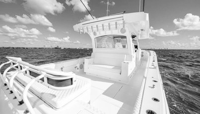 48 Campeon For Sale image10