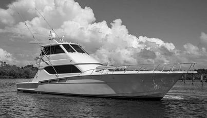 noname For Sale image6