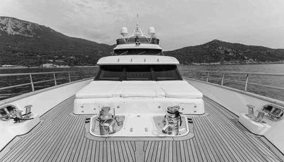 COCONUTS For Sale image21