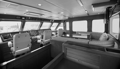 ANNIE For Sale image13