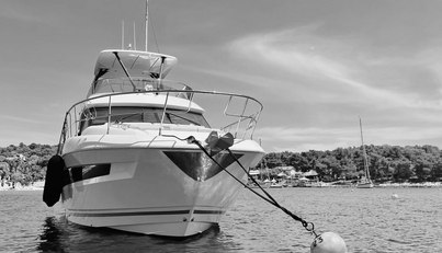 BELVEDER For Sale image4