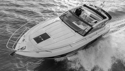 Viola III For Sale image9