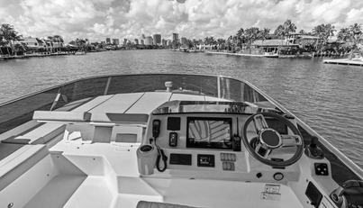 EMERALD For Sale image13