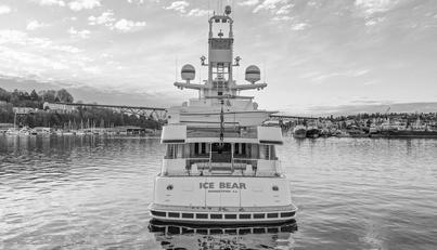 ICE BEAR For Sale image5
