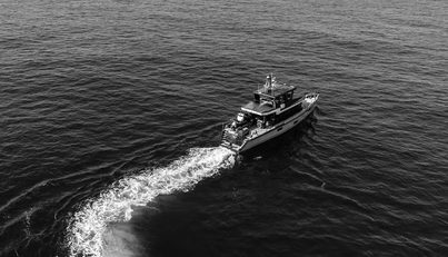 VANGUARD For Sale image29