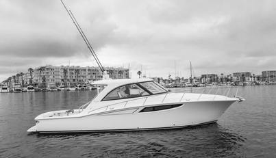 Commodore Two For Sale image16