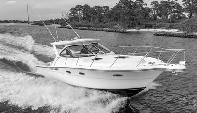 Escapade For Sale image9