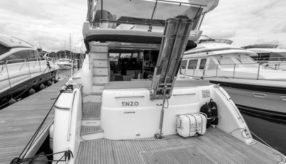 Enzo For Sale image39