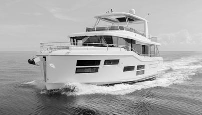 Opilio For Sale image1