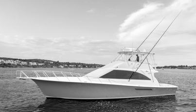 Gorilla Bowt For Sale image19
