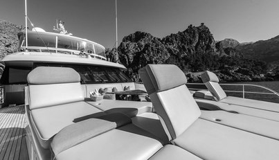 FLYING MANTA For Sale image25