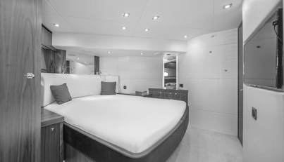 TARTUFO For Sale image36