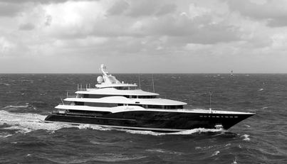 AMARYLLIS For Sale image1